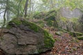 Foggy autumn Thuringian forest with immense rough stones covered with moss and fallen foliage Royalty Free Stock Photo