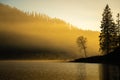 Foggy autumnal surise at Jonsvatnet, Norway Royalty Free Stock Photo