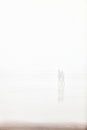 Walking on a lonely Foggy Beach. Royalty Free Stock Photo
