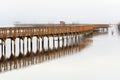 Foggy Boardwalk at the Nisqually NWR