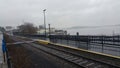 The foggy boardwalk