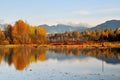 Foggy Burnaby Lake Royalty Free Stock Photo