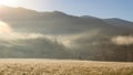 Foggy cades cove morning in great smoky mountains national park