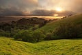 Foggy California Meadow Sunset Royalty Free Stock Photo