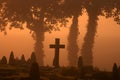 Foggy cemetary Royalty Free Stock Photo
