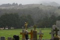 Foggy Cemetery