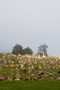 Foggy Cemetery Royalty Free Stock Photo