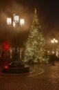 Foggy Christmas Eve Tree Lamplight Royalty Free Stock Photo