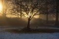 foggy city park at night. Empty streets Royalty Free Stock Photo