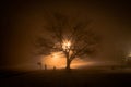 foggy city park at night. Empty streets Royalty Free Stock Photo