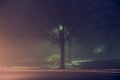 foggy city park at night. Empty streets Royalty Free Stock Photo