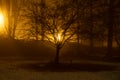 foggy city park at night. Empty streets Royalty Free Stock Photo