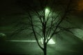 Foggy city park at night. Empty streets, street lights Royalty Free Stock Photo