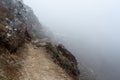 Foggy Cliffside Trail