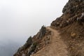 Foggy Cliffside Trail