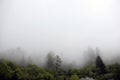 Foggy clouds rising from alpine mountain forest Royalty Free Stock Photo