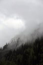 Foggy clouds rising from alpine mountain forest Royalty Free Stock Photo