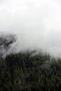 Foggy clouds rising from alpine mountain forest Royalty Free Stock Photo