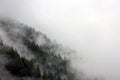 Foggy clouds rising from alpine mountain forest Royalty Free Stock Photo