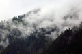 Foggy clouds rising from alpine mountain forest Royalty Free Stock Photo