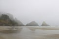 Foggy coast in Oregon on the shores of the Pacific Ocean. Royalty Free Stock Photo