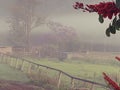 Foggy country morning paddock with farm sheds