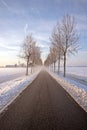 Foggy countryroad in wintertime Royalty Free Stock Photo