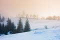 foggy countryside at dawn. beautiful rural landscape in wintertime Royalty Free Stock Photo