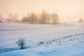 Foggy countryside at dawn. beautiful rural landscape in wintertime Royalty Free Stock Photo