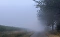 Foggy countryside road Royalty Free Stock Photo