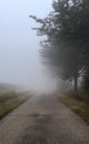 Foggy countryside road Royalty Free Stock Photo