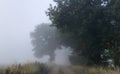 Foggy countryside road Royalty Free Stock Photo