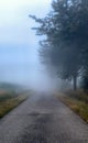 Foggy countryside road Royalty Free Stock Photo