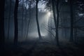 foggy and dark woods at night, mystery forest Royalty Free Stock Photo