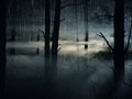 foggy and dark woods at night, mystery forest Royalty Free Stock Photo