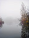 Foggy dawn, autumn forest in mystic fog in the morning, lake at dawn with clouds reflected in the calm water, thick Royalty Free Stock Photo