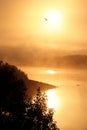 Foggy dawn on the river Royalty Free Stock Photo