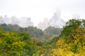 Foggy day in Central Park, NY