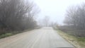 foggy day, driving on a rural road