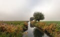 Foggy day in a Dutch polder in the autumn season