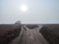 Foggy day on fork dirt road in steppe Royalty Free Stock Photo