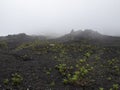 Foggy day full of mist at Pacaya volcano in Guatemala Royalty Free Stock Photo