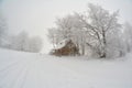 Foggy day, hoarfrost and hut under big beech treÃÂµ Royalty Free Stock Photo