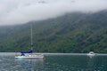 A foggy day in the Marlborough Sounds, in the South Island of New Zealand Royalty Free Stock Photo