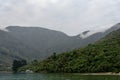 A foggy day in the Marlborough Sounds, in the South Island of New Zealand Royalty Free Stock Photo