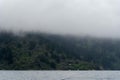 A foggy day in the Marlborough Sounds, in the South Island of New Zealand Royalty Free Stock Photo