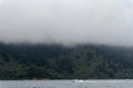 A foggy day in the Marlborough Sounds, in the South Island of New Zealand Royalty Free Stock Photo