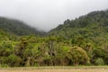 A foggy day in the Marlborough Sounds, in the South Island of New Zealand Royalty Free Stock Photo