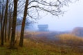 Foggy Dirt Road Beautiful Scene Misty dusk beech .Autumn landscape scenic view Atmospheric blue spooky Path orange foliage in Royalty Free Stock Photo