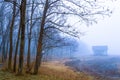 Foggy Dirt Road Beautiful Scene Misty dusk beech .Autumn landscape scenic view Atmospheric blue spooky Path orange foliage in